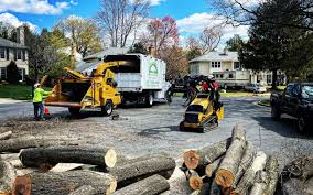 Best Commercial Tree Services  in Bluefield, VA