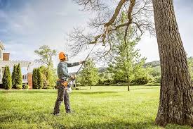 Best Seasonal Cleanup (Spring/Fall)  in Bluefield, VA